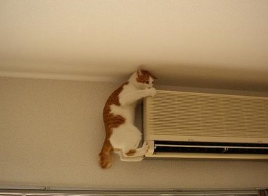 ss (2013-08-27 at 08.46.33).jpg